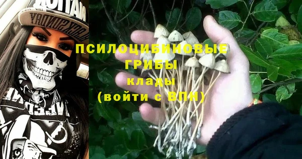 apvp Ступино