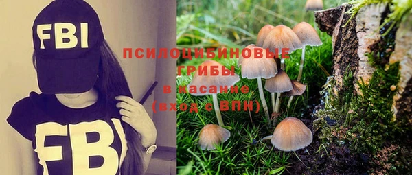apvp Ступино