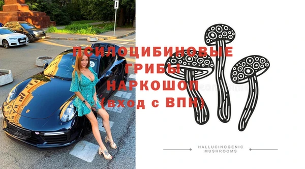 гидропоника Струнино
